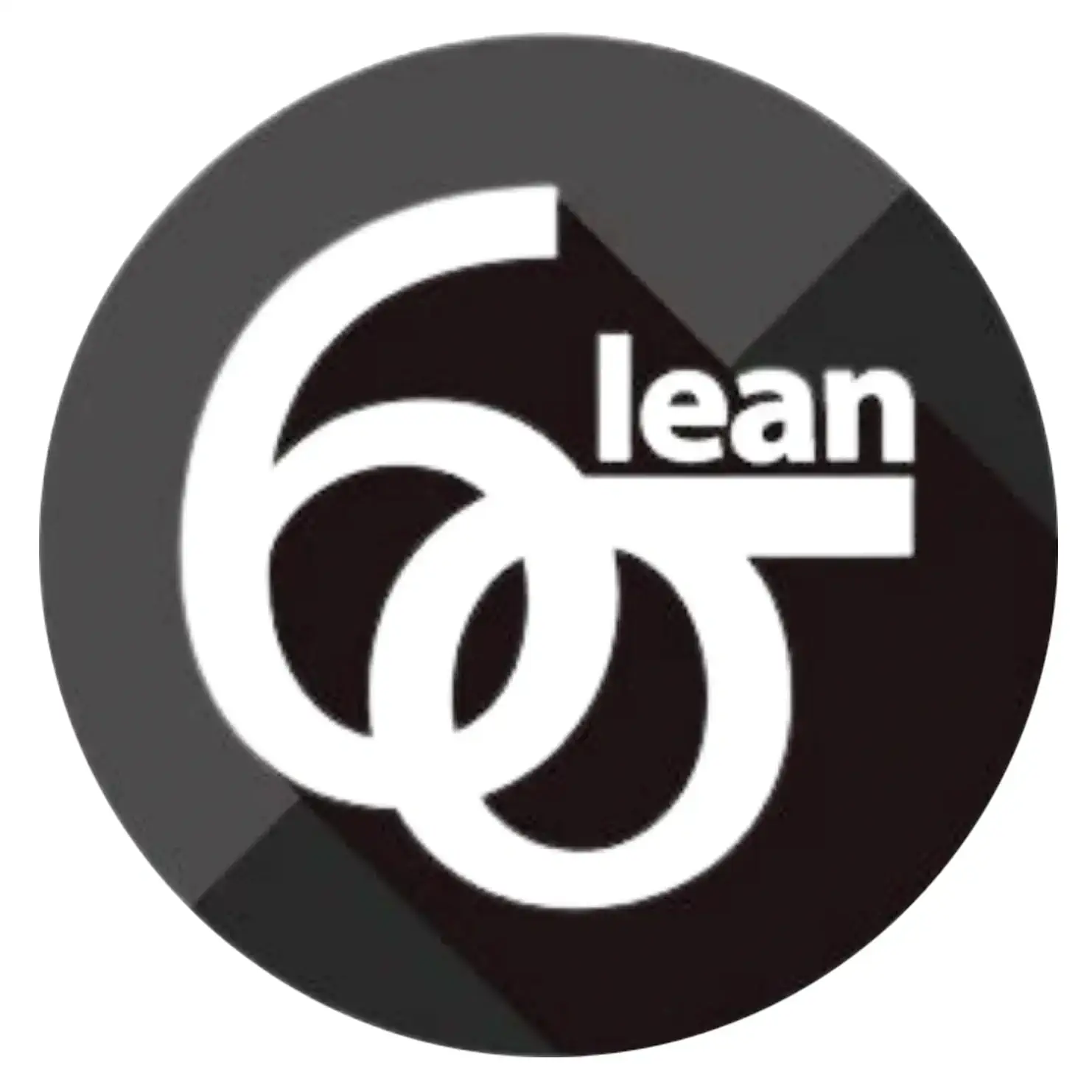 Lean Six Sigma Black Belt Certification logo
