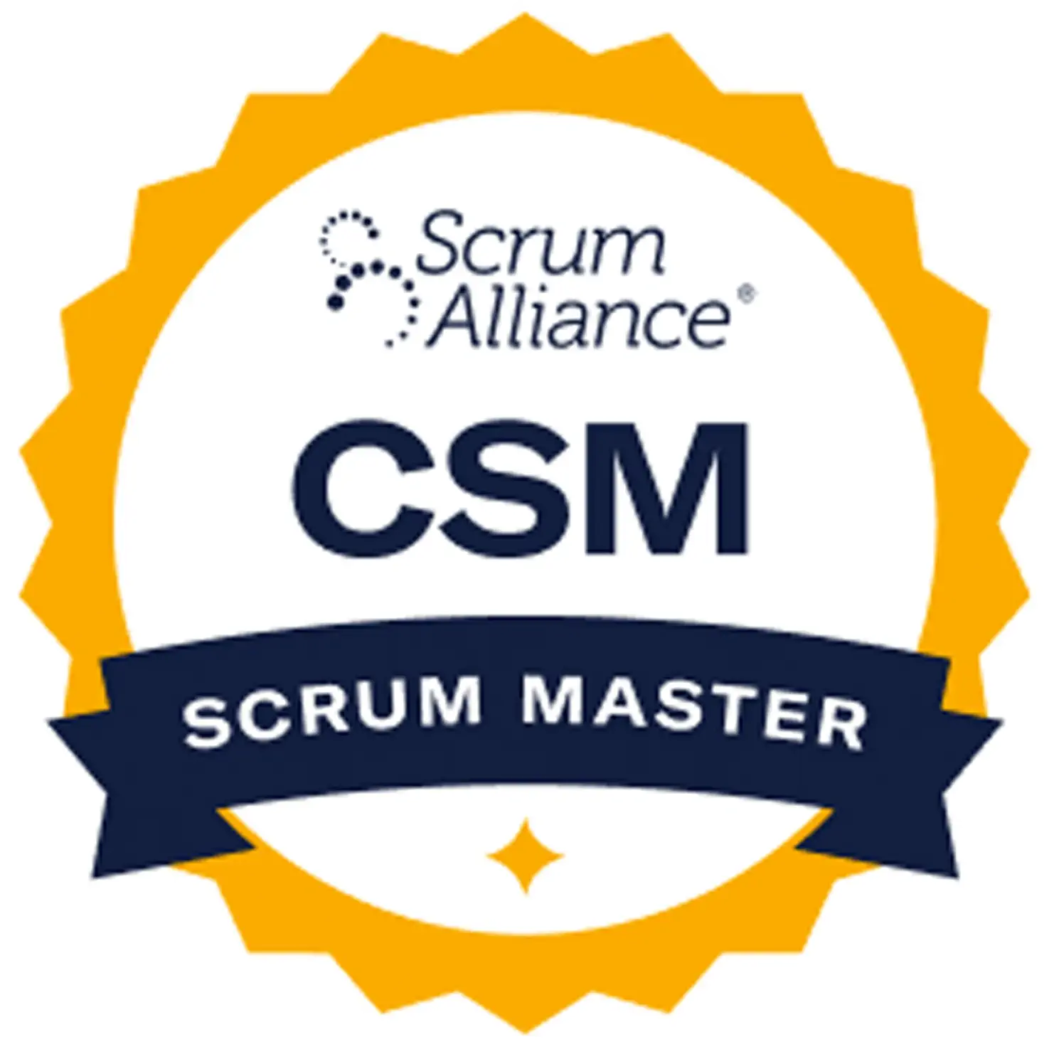 Certified ScrumMaster (CSM) Training Course logo