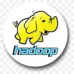 Big Data and Hadoop Certification Training logo